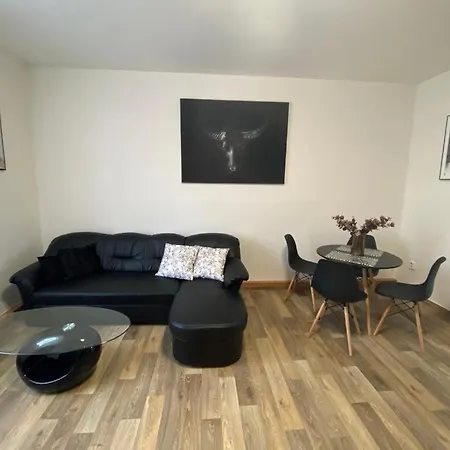 Cerny Tulipan - Apartman 2 比尔森 外观 照片