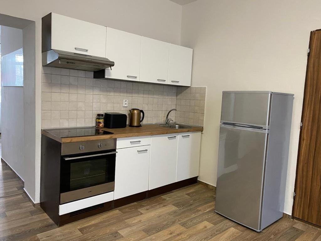 Apartment Cerny Tulipan - 2 Plzen