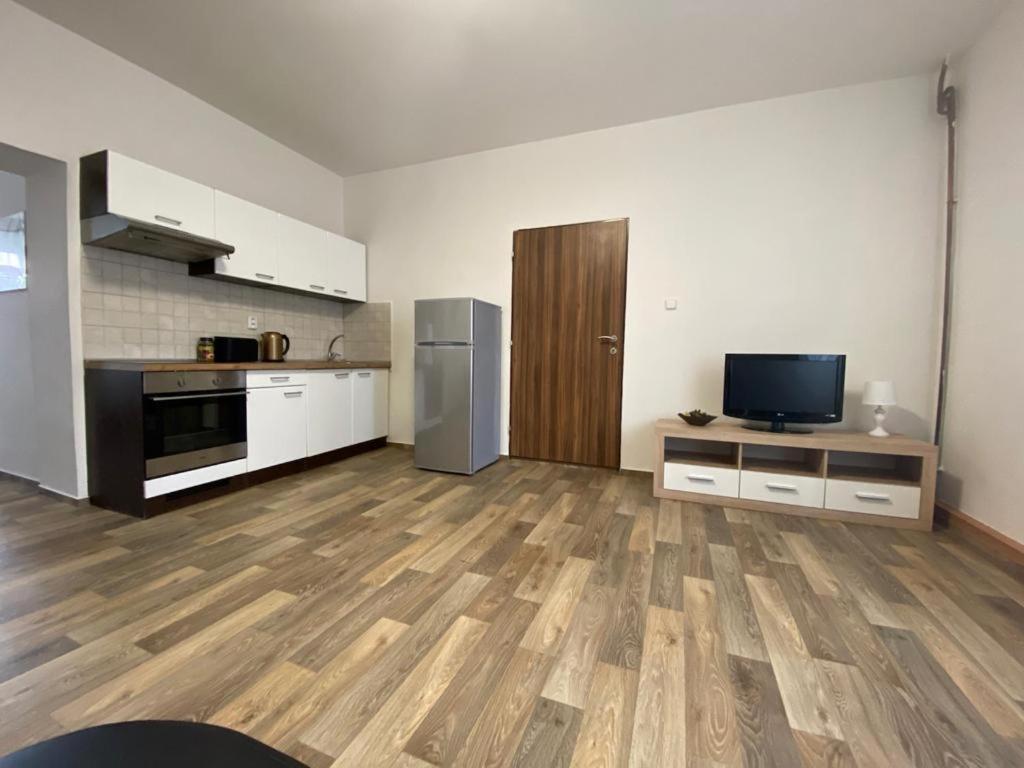 Cerny Tulipan - 2 Apartment Plzen