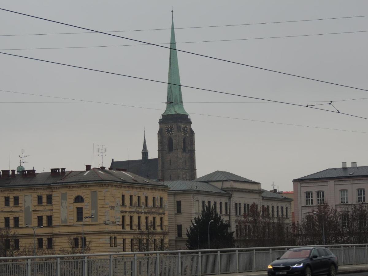 Cerny Tulipan - 2 * Plzen