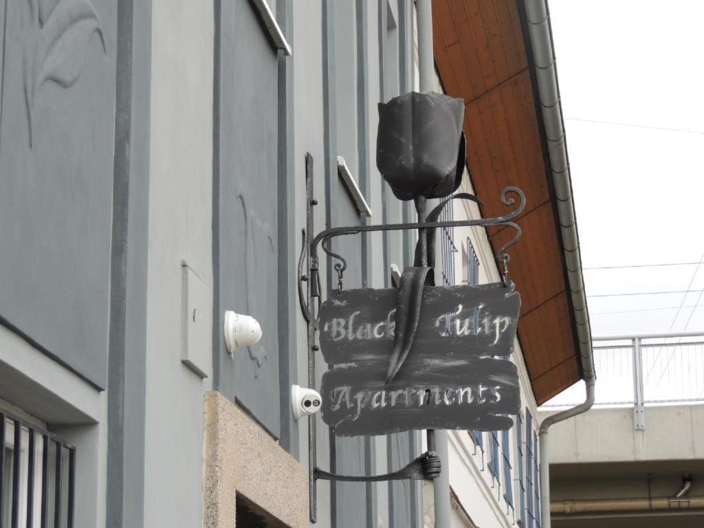 černý Tulipán #2 Plzeň