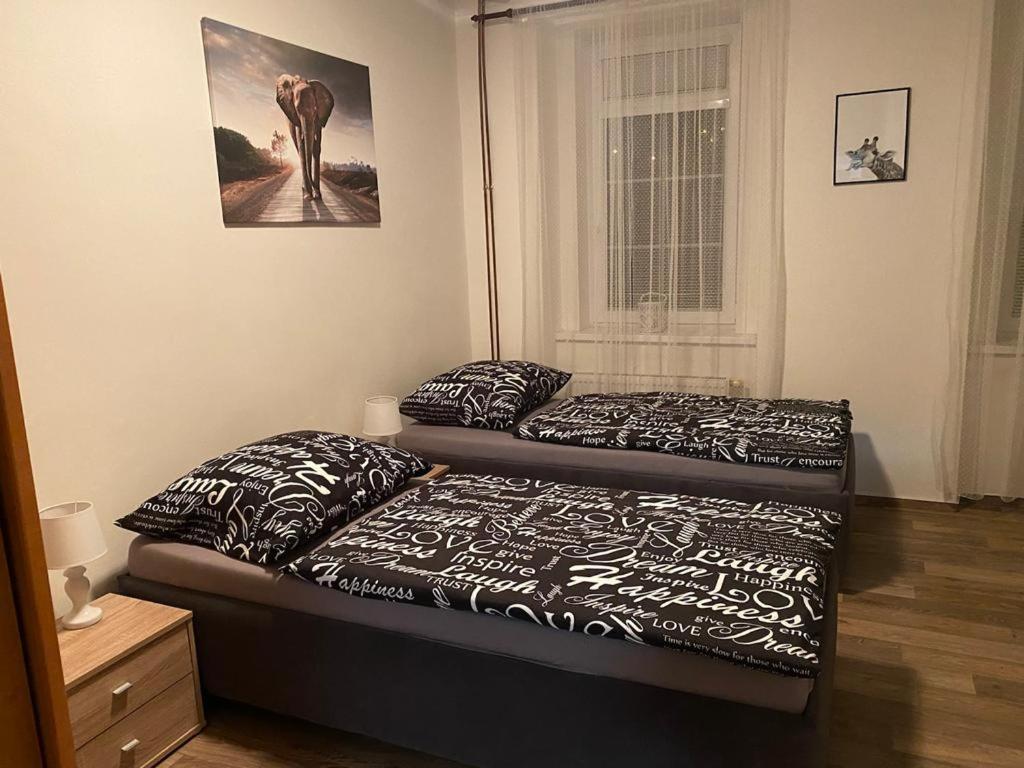 Cerny Tulipan - 2 *