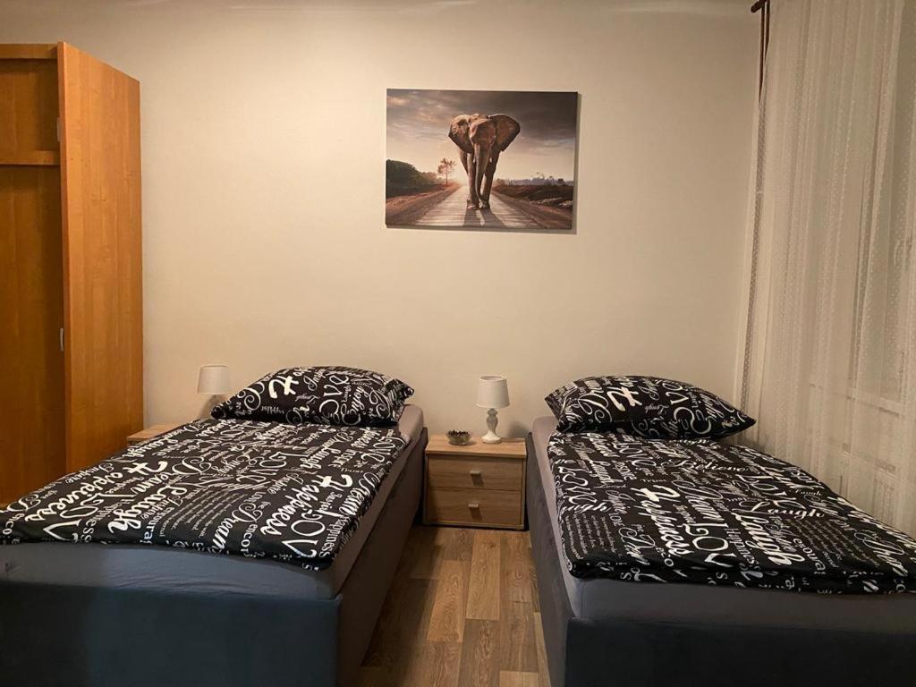 černý Tulipán #2 Apartmán