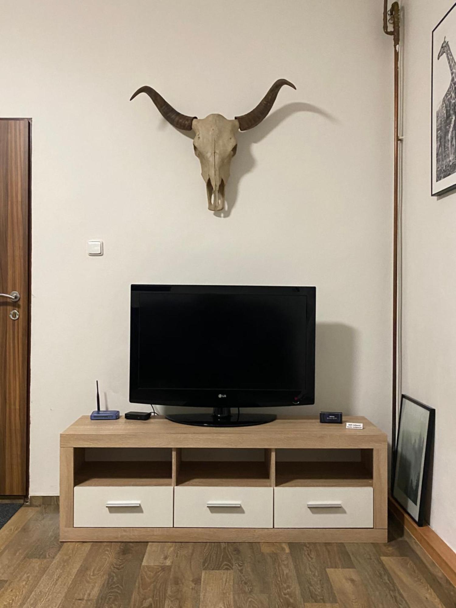 Apartment Cerny Tulipan - 2 Plzen
