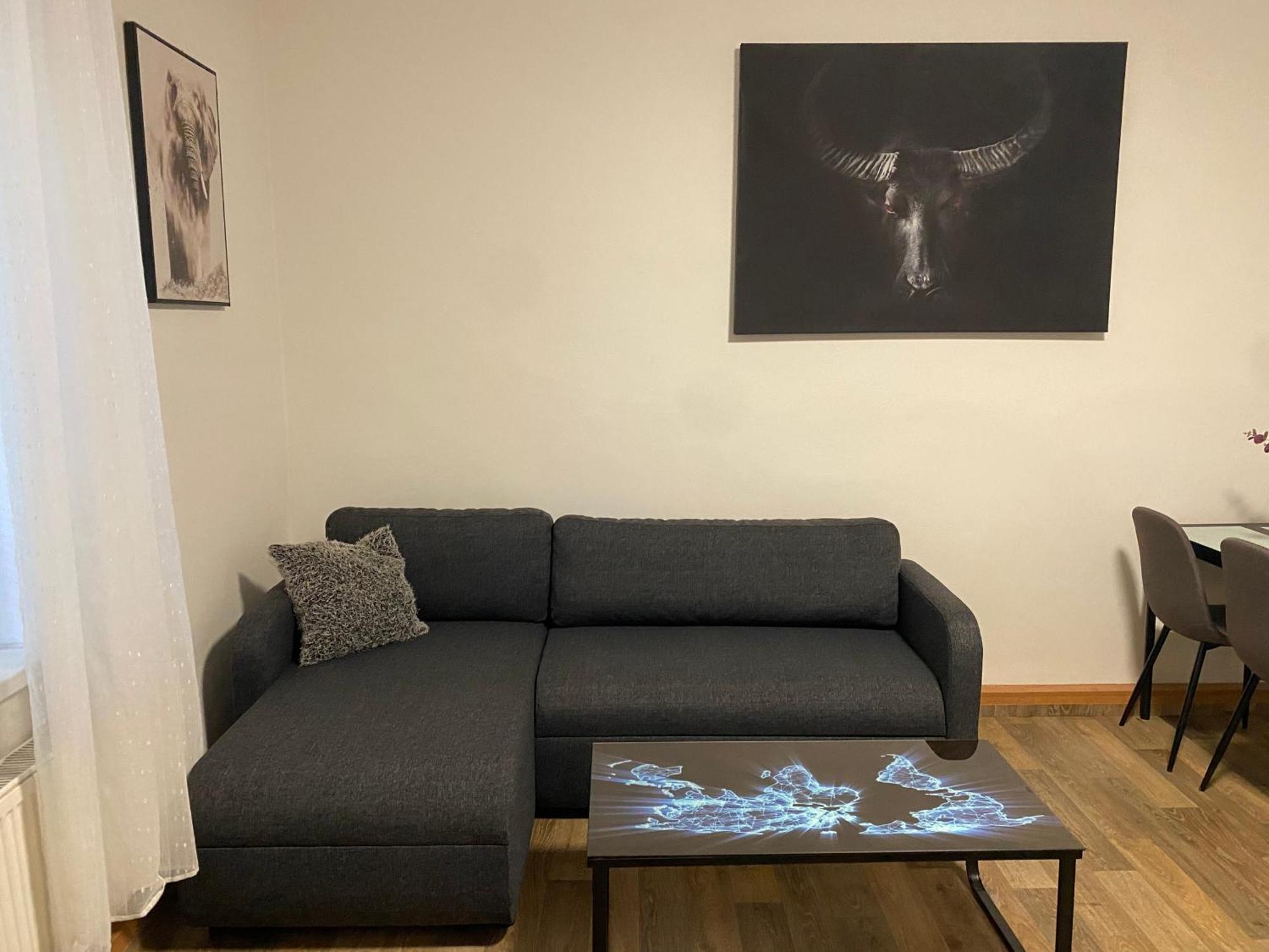 Apartment Cerny Tulipan - 2 Plzen