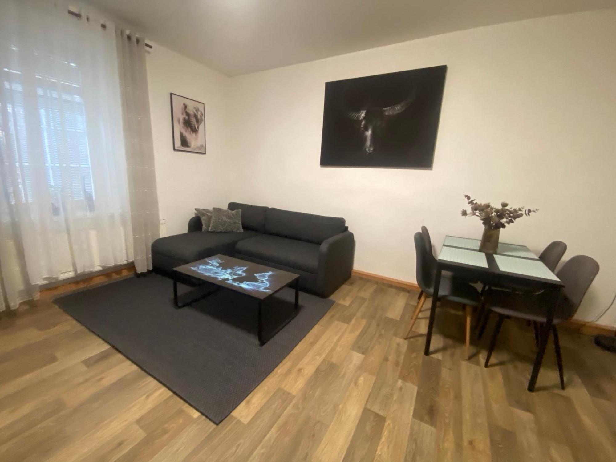 Cerny Tulipan - 2 Plzeň