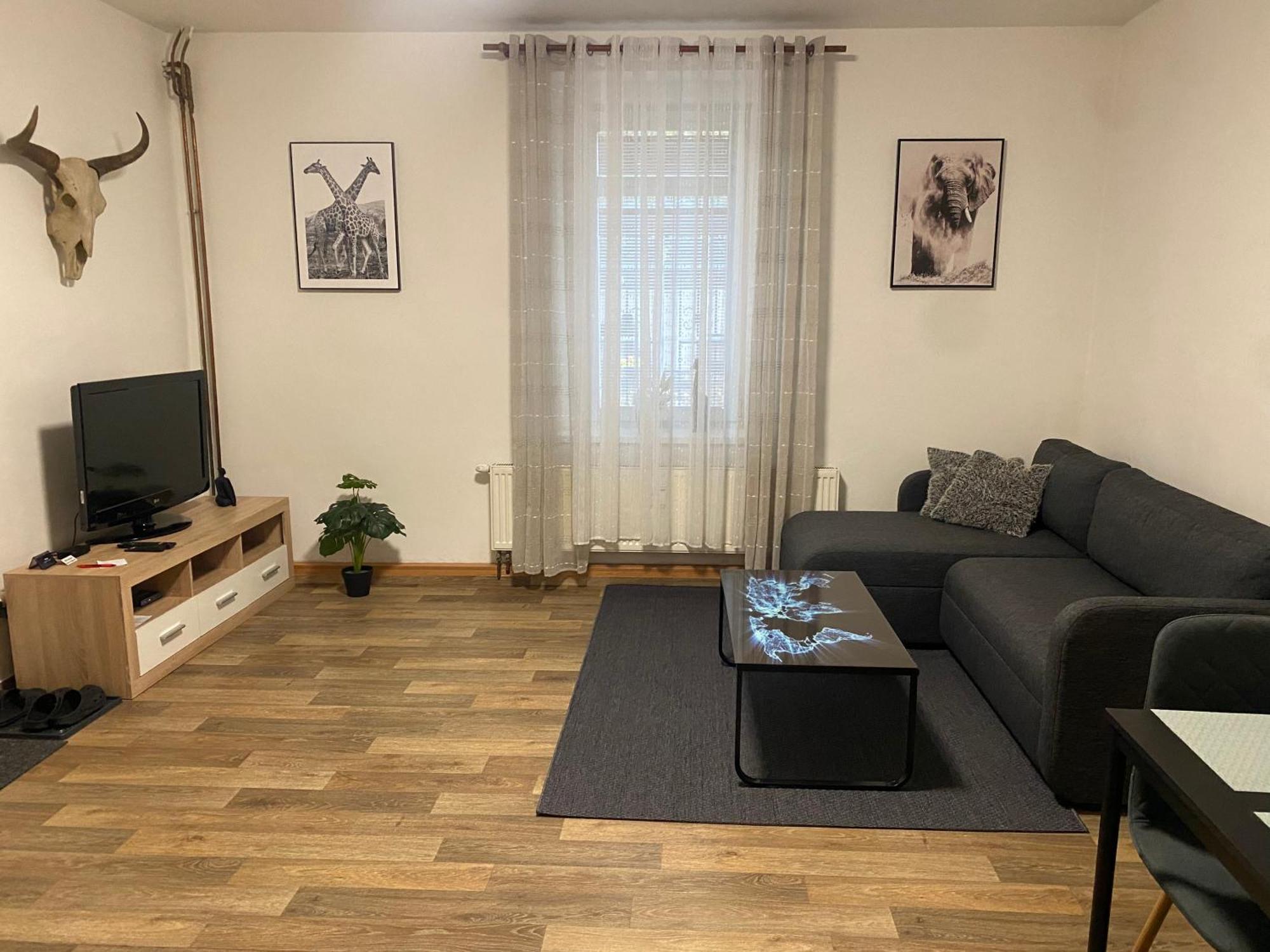 Cerny Tulipan - 2 Plzen